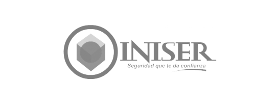 partners-iniser
